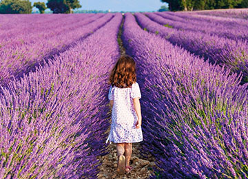 cosmetics-mastery cosmetics-mastery