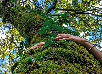 Sicurezza del prodotto