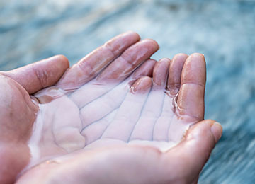 Tutela uomo animali materiali