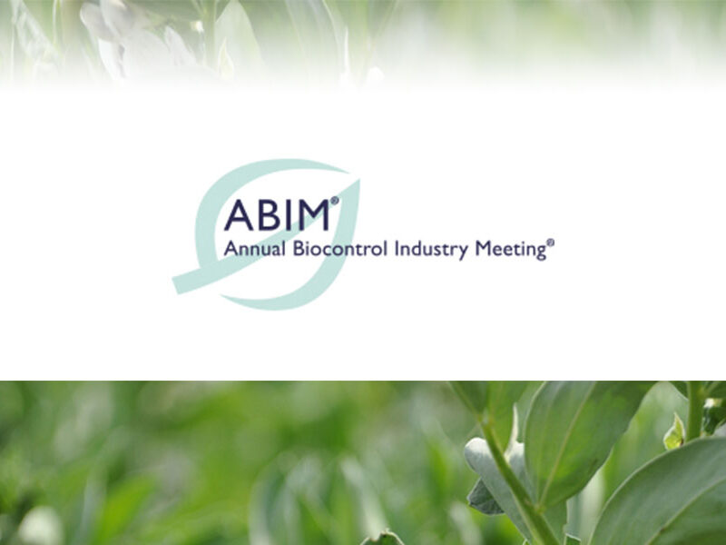 ABIM 2019