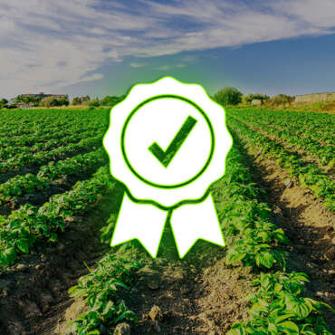 TEAM mastery Ottiene il Riconoscimento MODULO D1 nel Settore AGRO